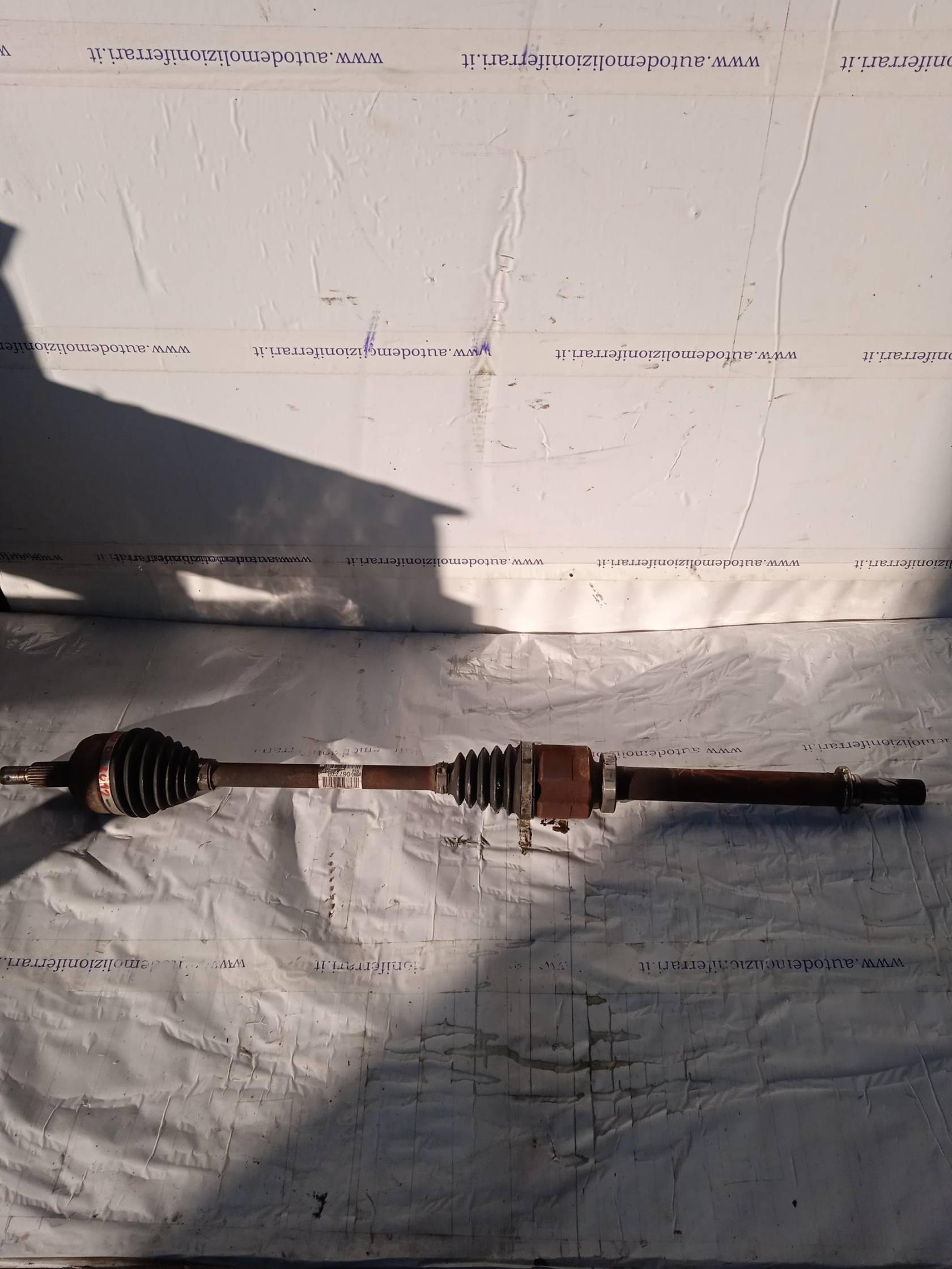 Semialbero ant. compl. dx.